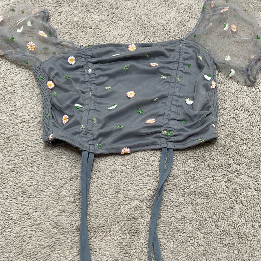 Alter d state top